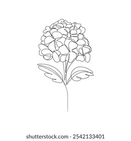 Hydrangea flower one line drawing. Abstract minimal floral blossom silhouette, continuous line sketch blooming plant. Vector elegant logo isolated design.