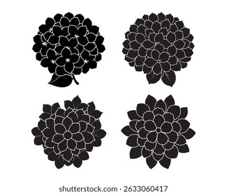 Hydrangea flower plant outline illustration coloring book page design, Hydrangea flower plant black and white line art drawing coloring book pages for children and adults