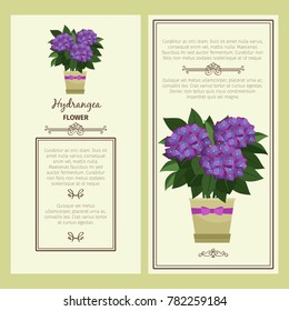 Hydrangea flower in pot vector advertising banners for shop design