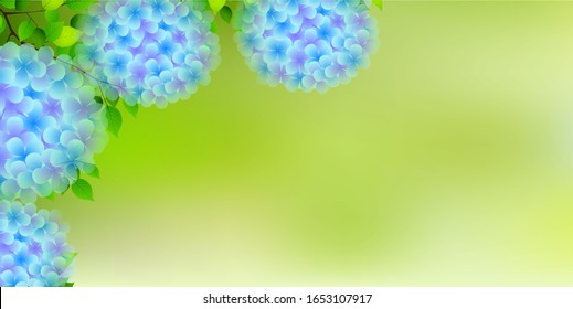 Fondo de la estación lluviosa de Hydrangea