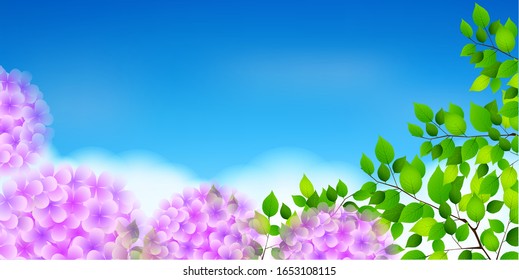 Fondo de la estación lluviosa de Hydrangea