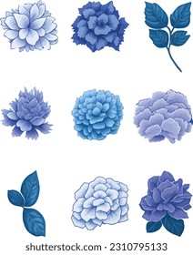 Hydrangea Flower Set, Watercolor Flower Vector Design Set