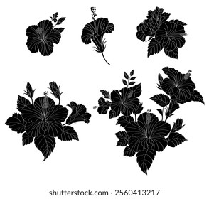 hydrangea flower, silhouette graphic , Vector file can be used in creating work, including media production. and various publications