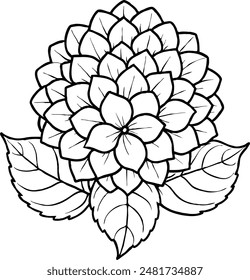 Hydrangea flower silhouette lain art vector illustration.