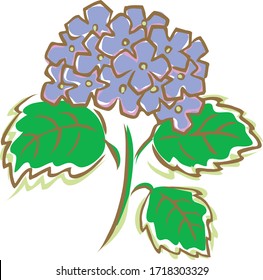 La hidrangea es una flor que florece durante la temporada de lluvias.