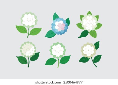 The "Hydrangea flower vector art illustration" is a digital design file featuring a detailed and vibrant illustration of a hydrangea flower.