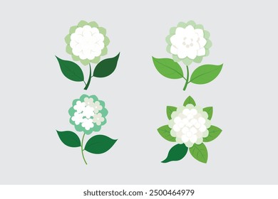 The "Hydrangea flower vector art illustration" is a digital design file featuring a detailed and vibrant illustration of a hydrangea flower.