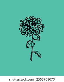 hydrangea flower vector illustration. ink illustration. botanical drawing.
