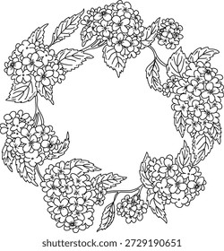 Hydrangea Blumenkranzrahmen in handgezeichneter Linienkunst mit Blütenhaufen und Blattdetails, die einen kreisförmigen Rahmen bilden. Symbol für Eleganz, Romantik und Feier. Cartoon, Vektorgrafik.