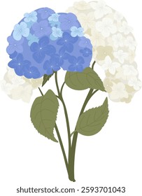 Hydrangea Flowers Bouquet Vector Illustration