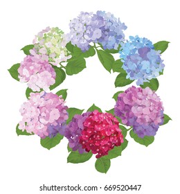 Hydrangea flowers with green leaves on white color background. Vector set of blooming floral for your design. Adornment for wedding invitations and greeting card.