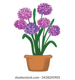 Hydrangea flowers in pot illustration