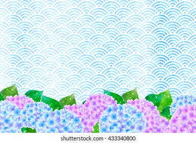 Hydrangea flowers rainy season background
