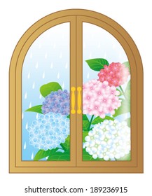 hydrangea flowers through the window, isolated on white background.