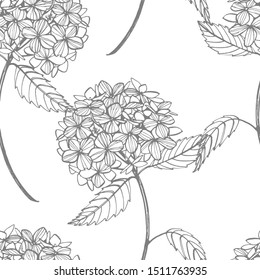 Hydrangea graphic illustration in vintage style. Flowers drawing and sketch with line-art on white backgrounds. Botanical plant illustration. Seamless pattern