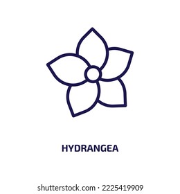 hydrangea icon from nature collection. Thin linear hydrangea, blossom, flower outline icon isolated on white background. Line vector hydrangea sign, symbol for web and mobile