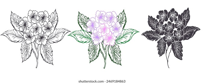 Hydrangea with leaves set. Line art and silhouette of a flower hydrangea bouquet. The flowers are arranged in a way that makes them look like they are in a vase. Scene is elegant and sophisticated