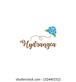 Hydrangea Logo Design