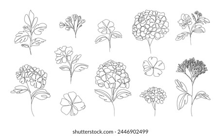 Hydrangea one line drawing. Black contour ink botanical floral elements, elegant flower sketch for wedding invitations and greeting cards. Vector isolated set