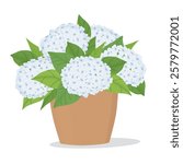 Hydrangea in a pot. Vector illustration with a blue hydrangea. Isolated image on a white background. Hand-painted color drawing with a potted plant. Suitable for printing and decoration.