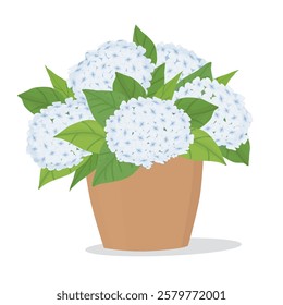 Hydrangea in a pot. Vector illustration with a blue hydrangea. Isolated image on a white background. Hand-painted color drawing with a potted plant. Suitable for printing and decoration.