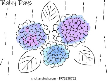 hydrangea in Rainy day hand draw line art