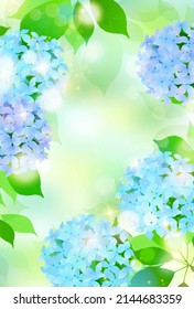 Hydrangea rainy season flower background