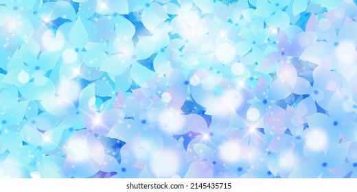 Hydrangea rainy season flower background