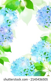 Hydrangea rainy season flower background