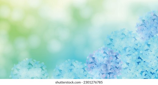 Hydrangea Rainy Season Flower Background