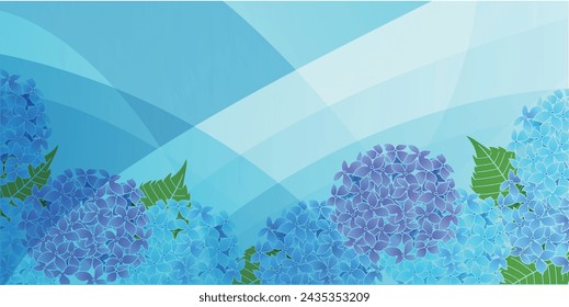 hydrangea rainy season flower background