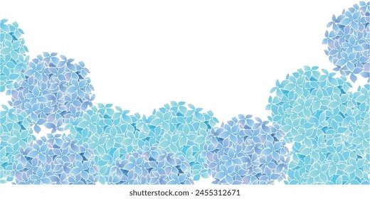 hydrangea rainy season flower background