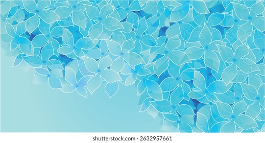 hydrangea rainy season flower background