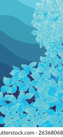 hydrangea rainy season flower background