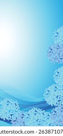 hydrangea rainy season flower background