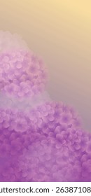 hydrangea rainy season flower background