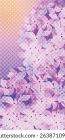 hydrangea rainy season flower background
