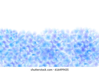 Hydrangea rainy season flower background
