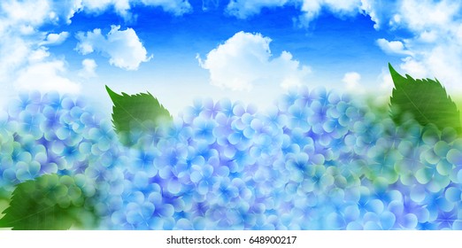 Hydrangea rainy season summer background