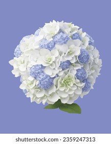 Hydrangea realistic illustration flower 3D design