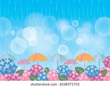 Hydrangea scenery in the summer rainy season