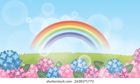 Hydrangea scenery in the summer rainy season