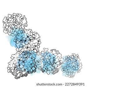 Hydrangea vector drawing. Bush flowers. Landscape design.
Landscape bushes. Linear drawing of a plant.