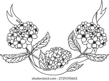 Coroa de hidrogênio com fita, florescendo cluster e folha, desenho de contorno limpo para quadro e rótulo. Símbolo de romance, celebração, elegância, decoração de casamento, saudação. Ilustração de vetor de desenhos animados.