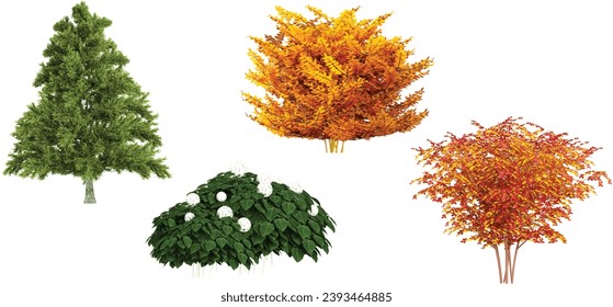 Hydrangea,Pine,Maple,Autumn bush Trees collection with realistic style