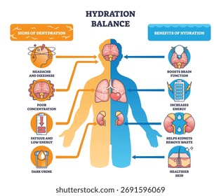 Hydration balance brief shows a split human silhouette comparing dehydration vs benefits, brain, kidneys, and skin highlighted with arrows for wellness. Outline diagram