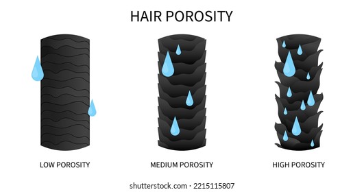 hydration of hair thinning or moisturization sinks drop porosity test for dryness