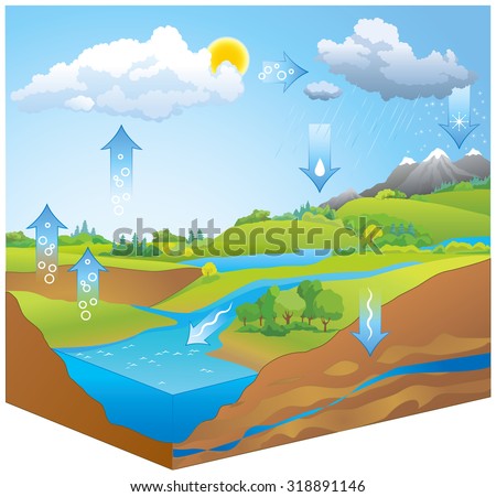 Hydro or H2O transformation chart map representation of movement phases liquid, ice, gas by physical process of evapotranspiration, condensation, precipitation, infiltration, runoff, underground flow