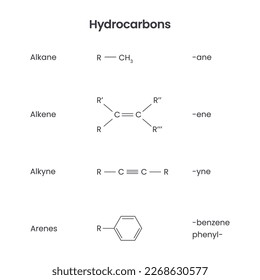 Hydrocarbon functional groups biochemistry science vector infographic