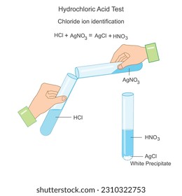  Hydrochloric acid identification test. Chemistry illustration. chemical reaction of precipitation.Test for chloride ion.